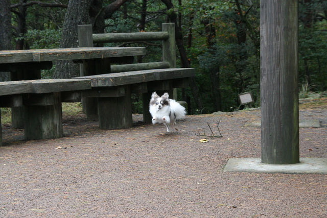 宮崎方面1泊旅行　その2_b0137459_22402878.jpg