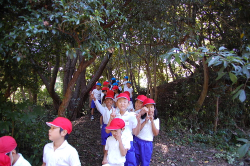 c0108460_17173548.jpg