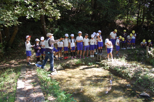 c0108460_1782236.jpg