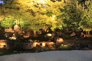 f0232767_2352012.jpg