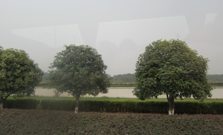 f0088569_11213687.jpg