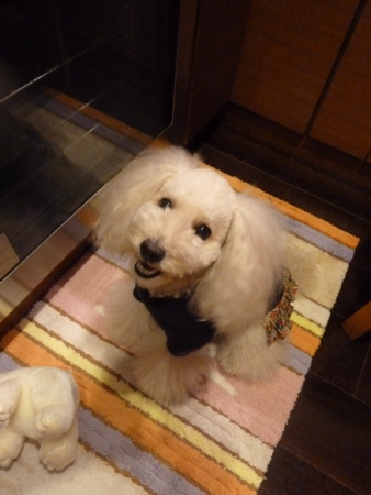 2011.10.18 ご、ご、ごはん_a0083571_2155787.jpg