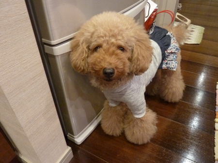 2011.10.18 ご、ご、ごはん_a0083571_216379.jpg