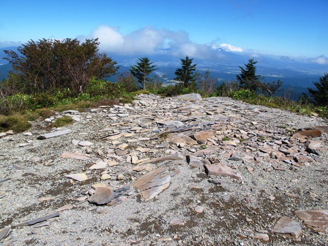 a0091680_139132.jpg
