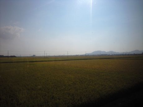 真夏の列島横断旅9 (飯山線/弥彦線/ほか)_b0005281_19462040.jpg