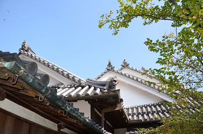 c0229483_9134799.jpg