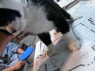 2011年10月18日 新しいミカゲ。。_b0098584_1910277.jpg