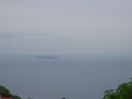 2011年10月18日 新しいミカゲ。。_b0098584_1942451.jpg