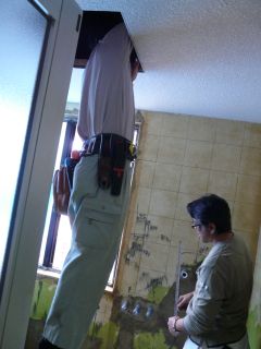 2011年10月18日 新しいミカゲ。。_b0098584_1963596.jpg
