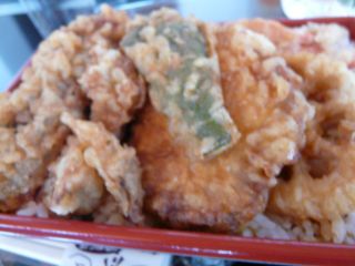 2011年10月18日 新しいミカゲ。。_b0098584_198370.jpg
