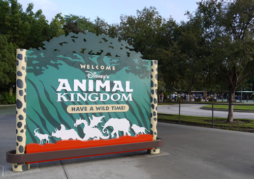 Walt Disney World へ行って来ました！＜２日目・その１＞ 【Disney\'s ANIMAL KINGDOM Park】_d0221584_729720.jpg