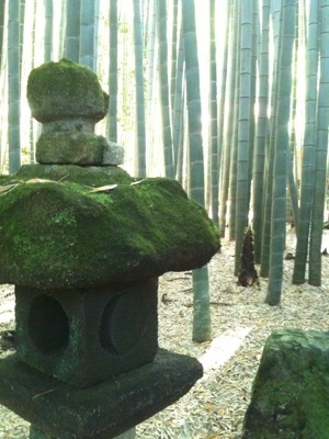 e0159287_96451.jpg