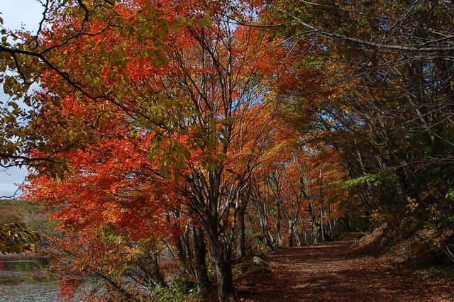 観音沼の紅葉_b0203588_17565884.jpg