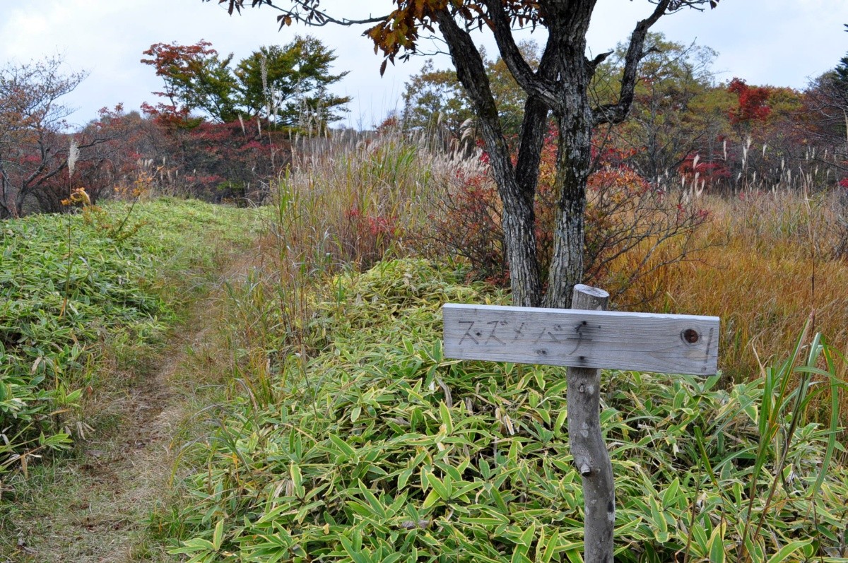 八方湖の紅葉を独り占め_a0011690_11321540.jpg