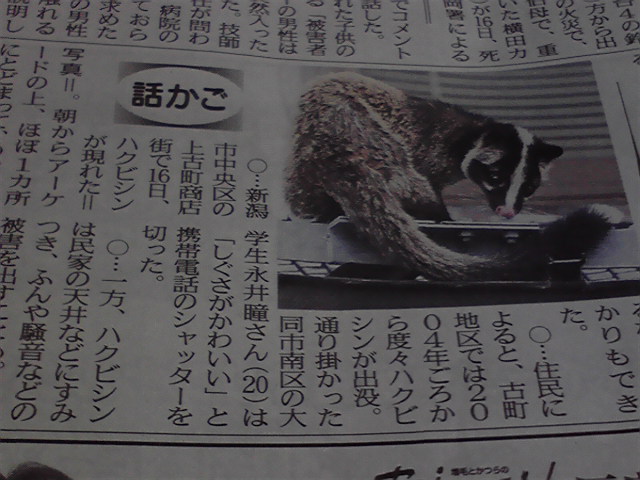 ハオチェンチャン ピアノリサイタル in りゅーとぴあ_e0046190_11211253.jpg