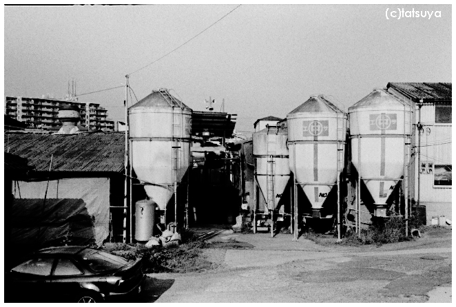 f0139991_23152553.jpg