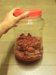 c0220592_204897.gif