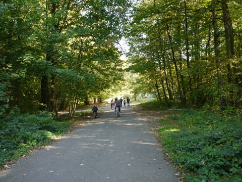 c0090198_3422928.jpg