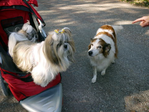 c0090198_35364.jpg