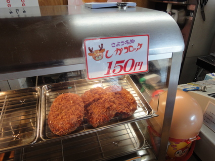 カブでツーリングに行ってきましたⅡ_e0117398_1115697.jpg
