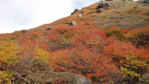 f0036700_15154110.jpg