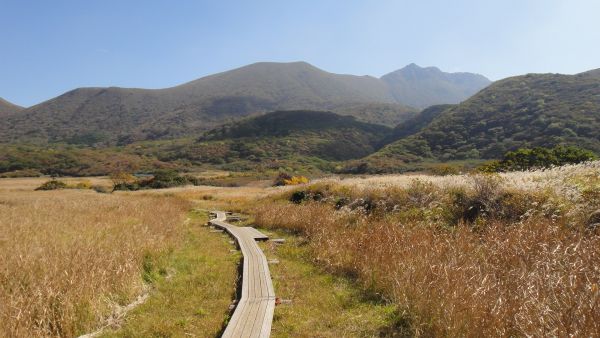 f0036700_1515963.jpg