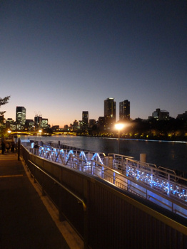 f0191500_8354588.jpg