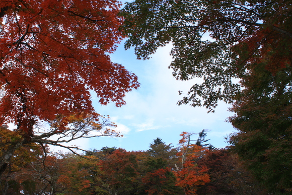 f0227200_23262328.jpg