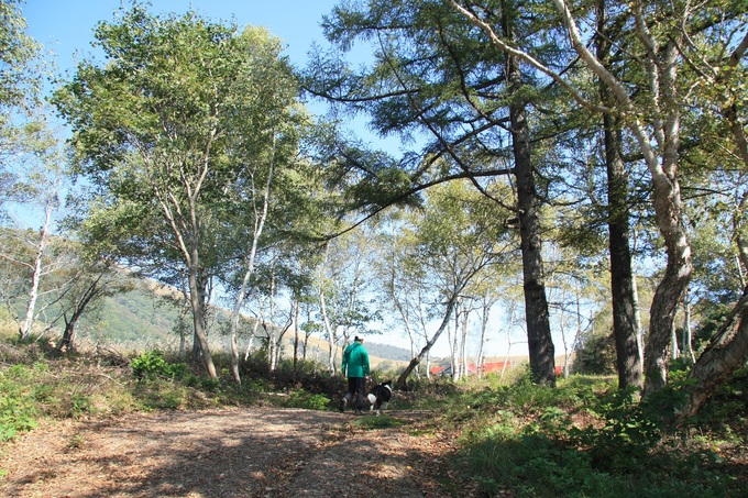 f0034602_18302270.jpg