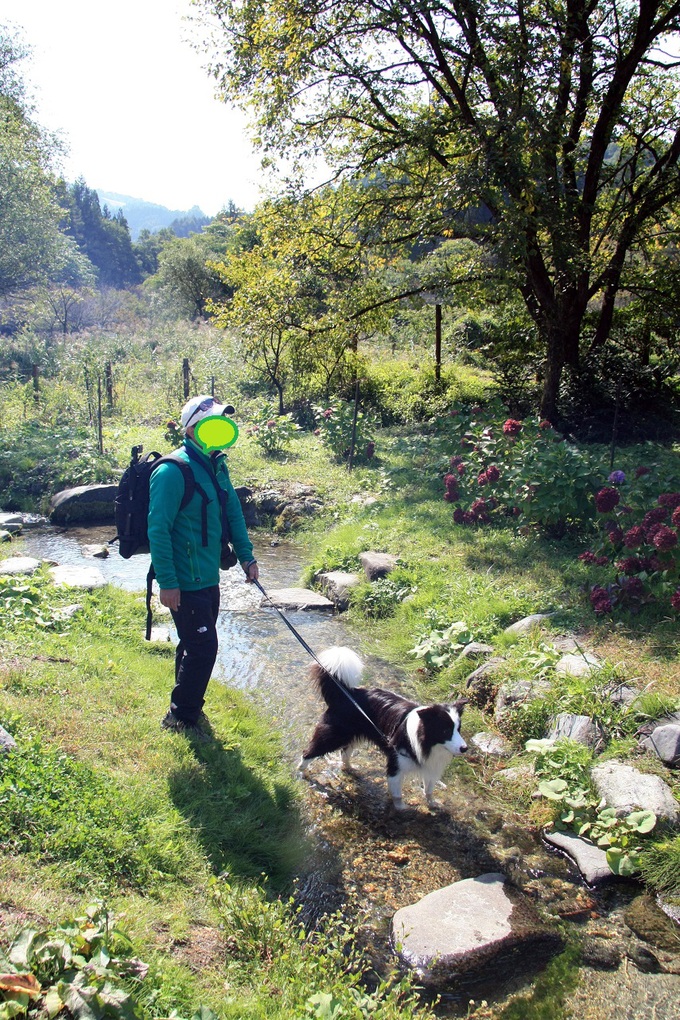 f0034602_183921.jpg