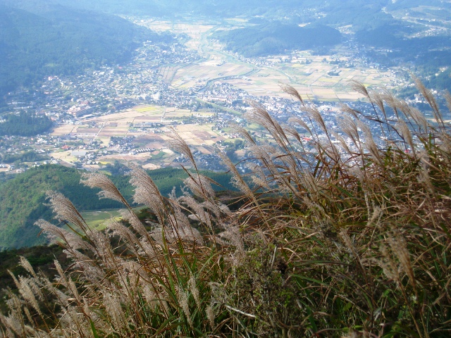 a0097006_0233151.jpg