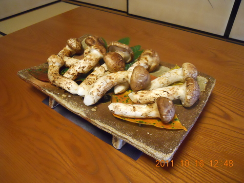 至極の贅沢 比良山荘で松茸と鮎_a0194908_1545516.jpg