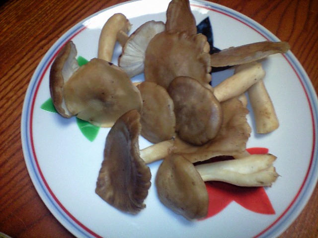 至極の贅沢 比良山荘で松茸と鮎_a0194908_1547525.jpg