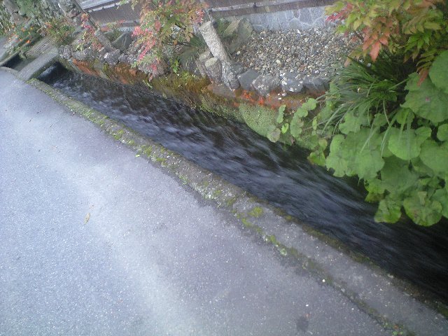 至極の贅沢 比良山荘で松茸と鮎_a0194908_1556038.jpg