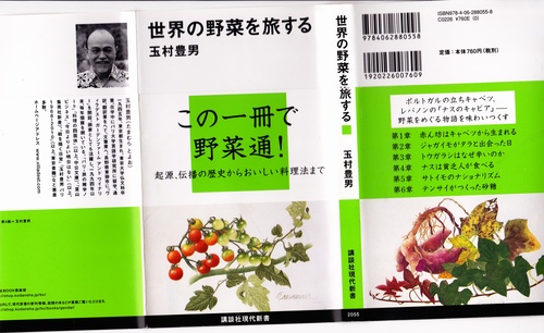 万葉の暗号 と 空白の桶狭間 と カンナ 出雲の顕在 とQED 伊勢の曙光_a0194908_1685743.jpg