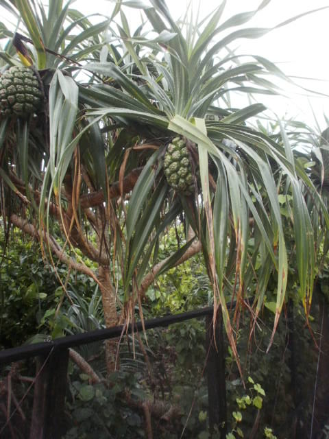 c0116610_12493823.jpg