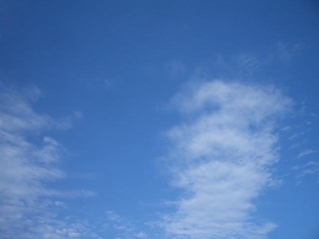 d0050713_14574570.jpg