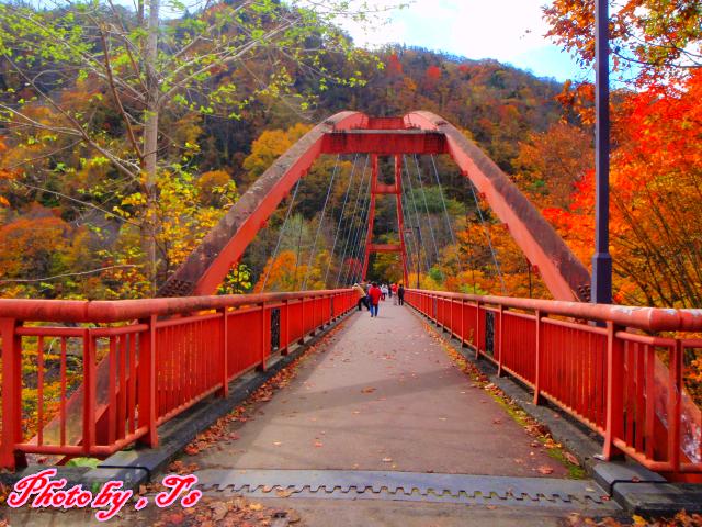 f0147821_1629545.jpg