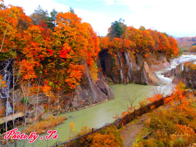 f0147821_16311748.jpg