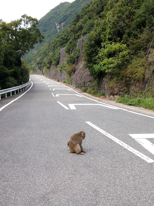 斜傾18％3,5km　小豆島！_d0252924_14274925.jpg