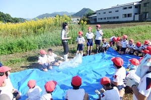 南中山小学校の子供たちと大豆の収穫☆_e0061225_17225452.jpg