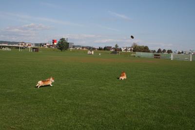 e0077528_22344688.jpg