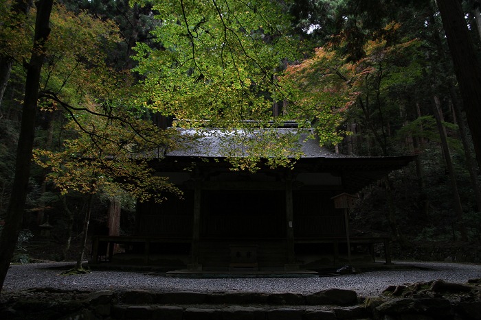 紅葉の高雄巡り －高山寺（前編）－_b0169330_23145074.jpg