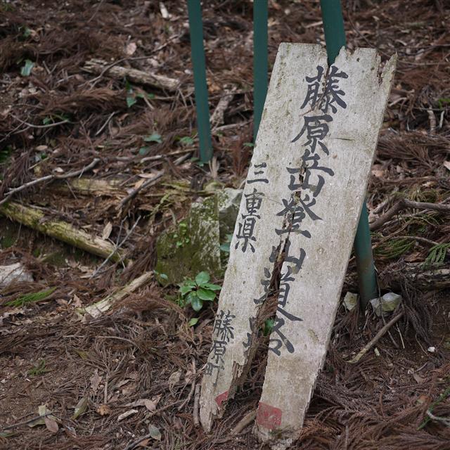 ▲山日記▲(vol.6 藤原岳)_d0052831_23514167.jpg