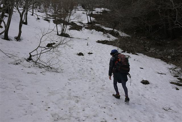 ▲山日記▲(vol.6 藤原岳)_d0052831_23571393.jpg