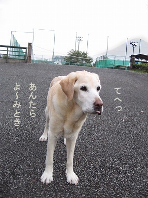 おっも～い～こんだぁらぁ＆今日の富士山_a0167836_12511343.jpg