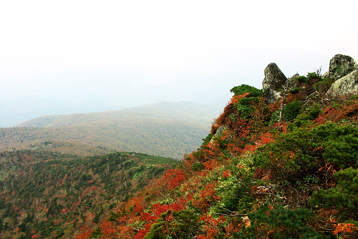 薬師岳登山_c0211639_23192899.jpg