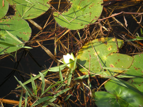 c0047341_7143384.jpg