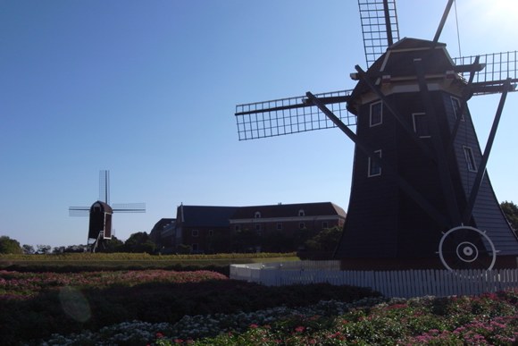 f0237443_20384577.jpg