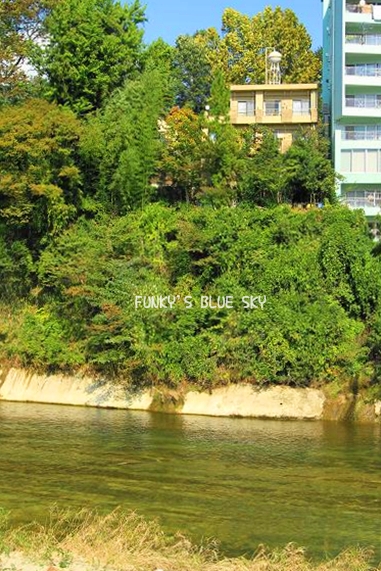 c0145250_12221071.jpg